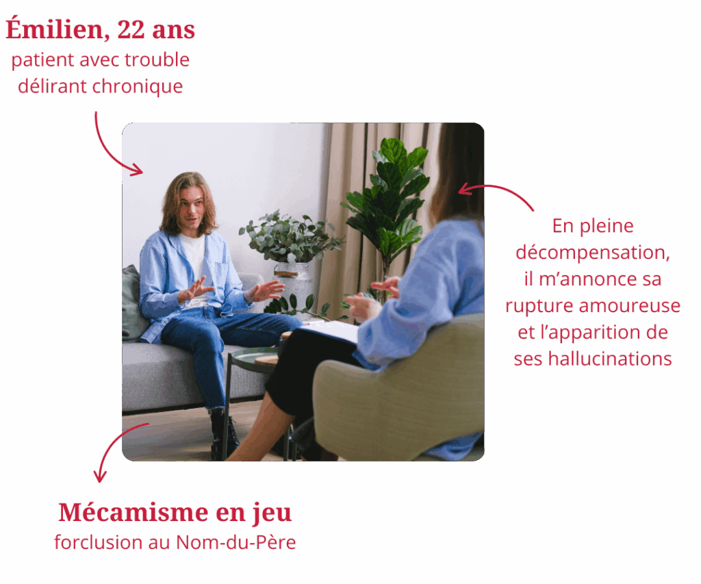 Bases des structures psychiques formation exemple 2