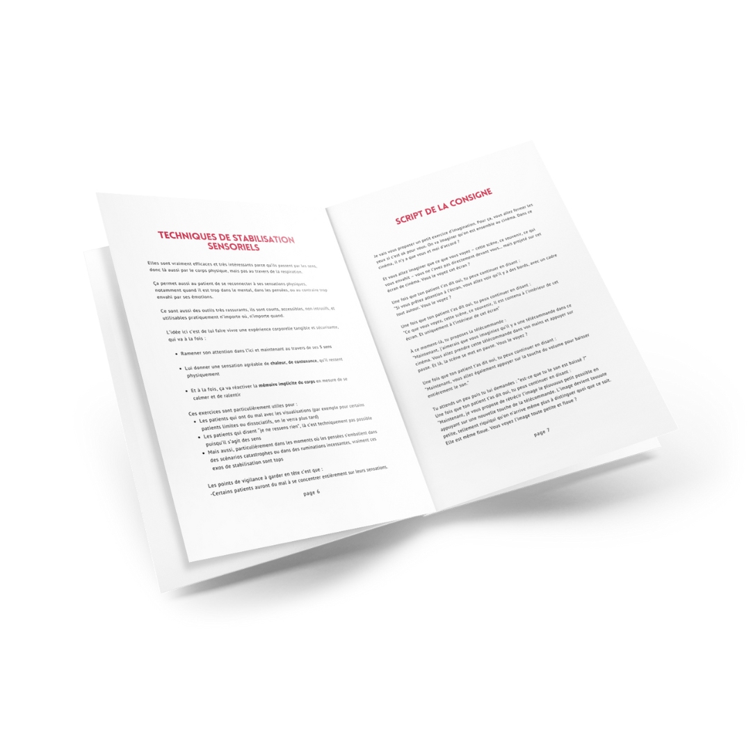 Manuel PDF complet